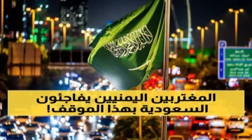 تآخي شعبي.. المقيمون اليمنيون يسجلون موقفاً تاريخياً دعماً للمملكة في كافة المناطق اليوم